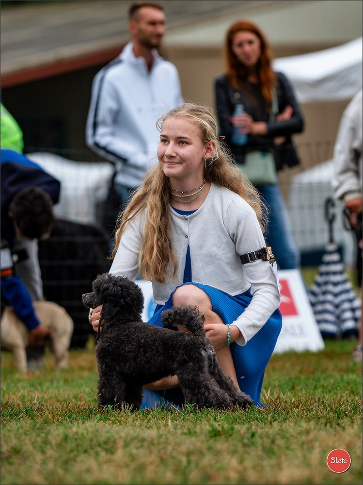 Exposition Canine à STRASBOURG-HOERDT Dimanche 18 août 2024. Photographe à Strasbourg | Portraits, Studio, Enfants, Événements