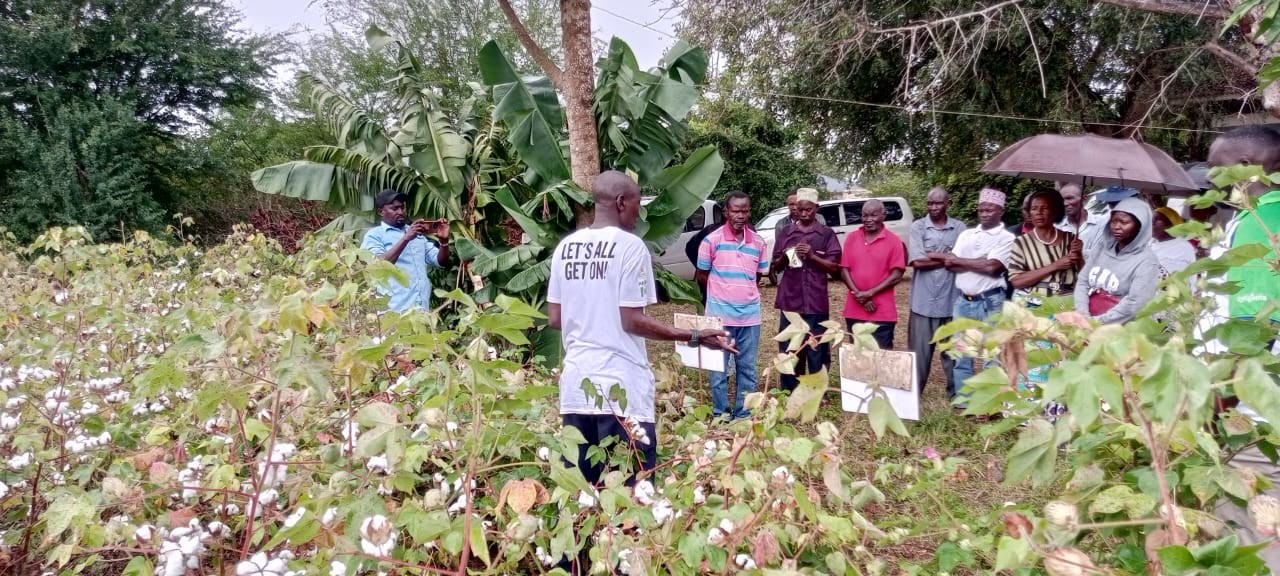 Grow Peat Organic Farming Training Crops and Sustainable Agriculture. Boost Plant Growth with Organic Fertilizers: Our Effective Solution