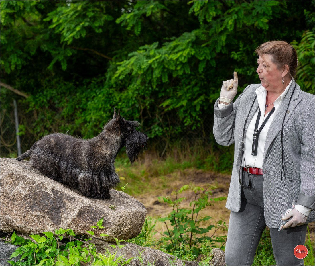 CHAMPIONNAT DE FRANCE 2024 & CACIB SPÉCIALES DE RACES MONTLUÇON. Photographe à Strasbourg | Portraits, Studio, Enfants, Événements