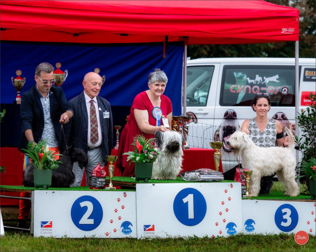 Exposition Canine à STRASBOURG-HOERDT Dimanche 18 août 2024. Photographe à Strasbourg | Portraits, Studio, Enfants, Événements