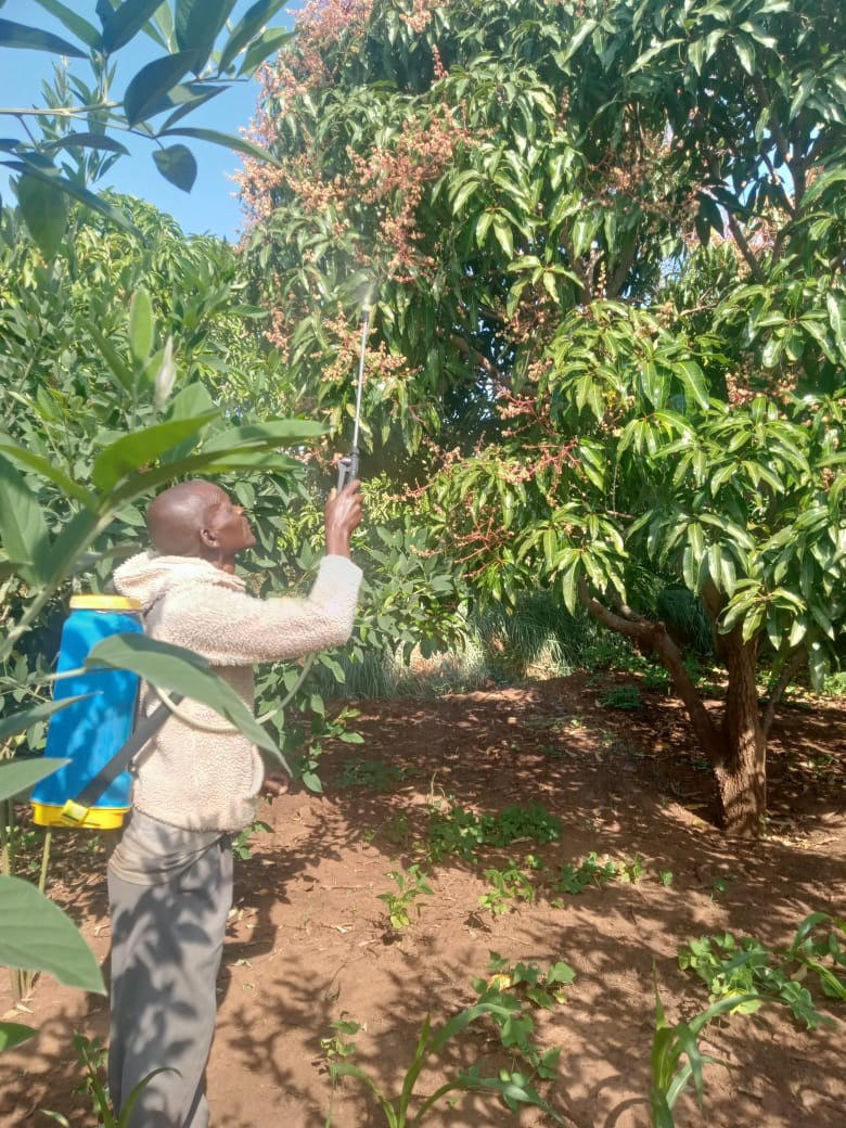 Grow Peat Organic Farming Training Crops and Sustainable Agriculture. Boost Plant Growth with Organic Fertilizers: Our Effective Solution