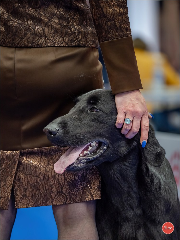 Photographie animalière. Photographe à Strasbourg | Portraits, Studio, Enfants, Événements