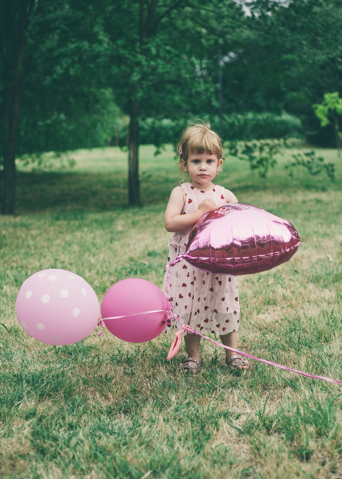 Porodica Komarek. Miroslav Lukić, fotograf za vaše važne trenutke