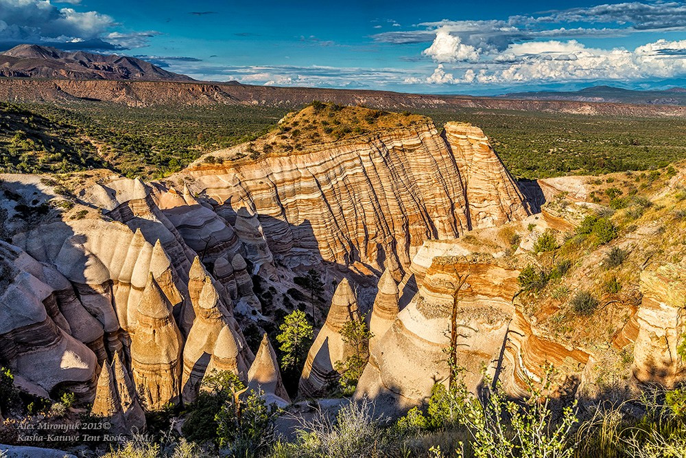 The Best of New Mexico. Pet, Senior, Landscape, portrait studio, photographer in Miami and Sou