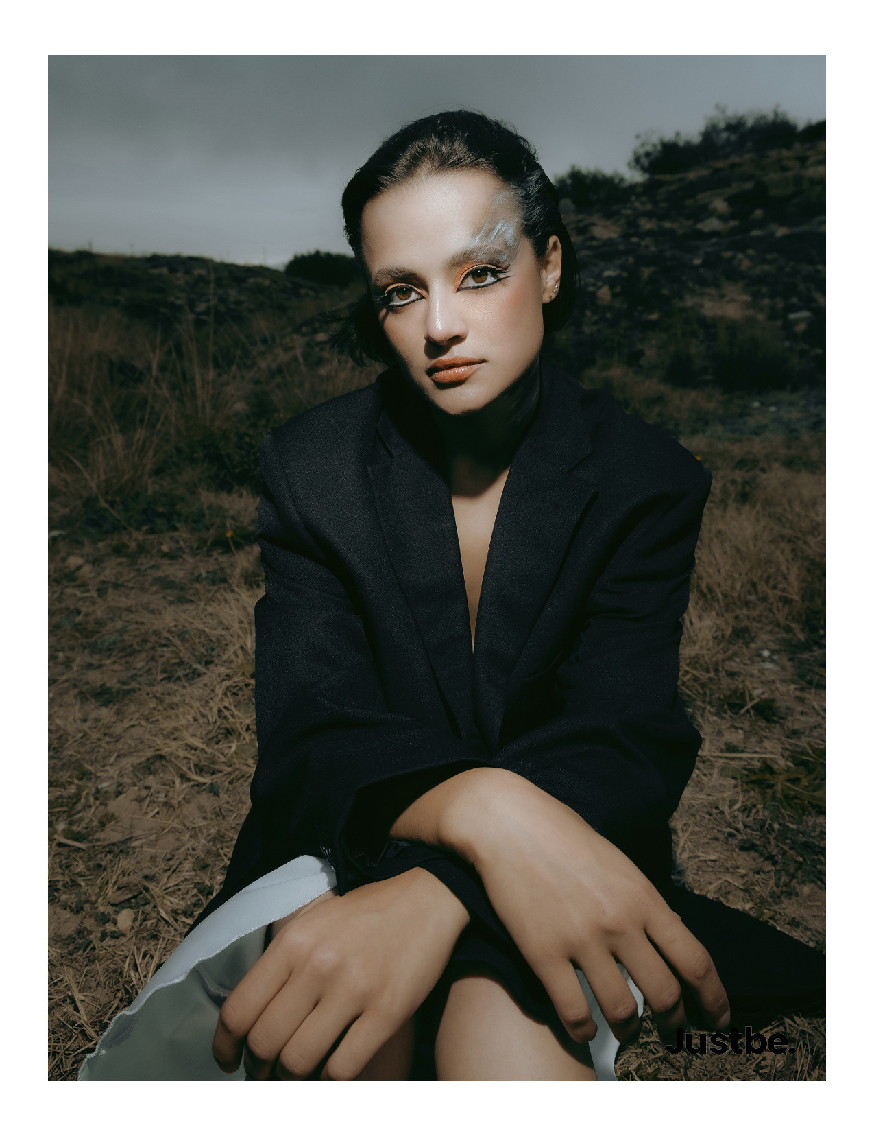 The best publications of the project Dusk in Silence