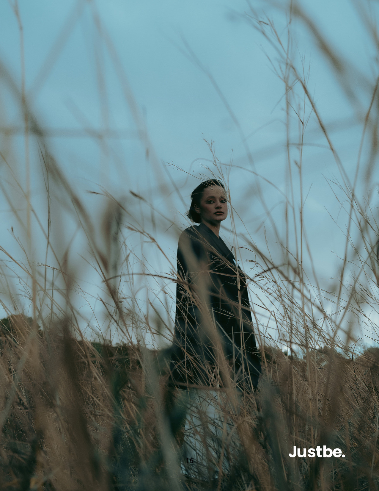 The best publications of the project Dusk in Silence