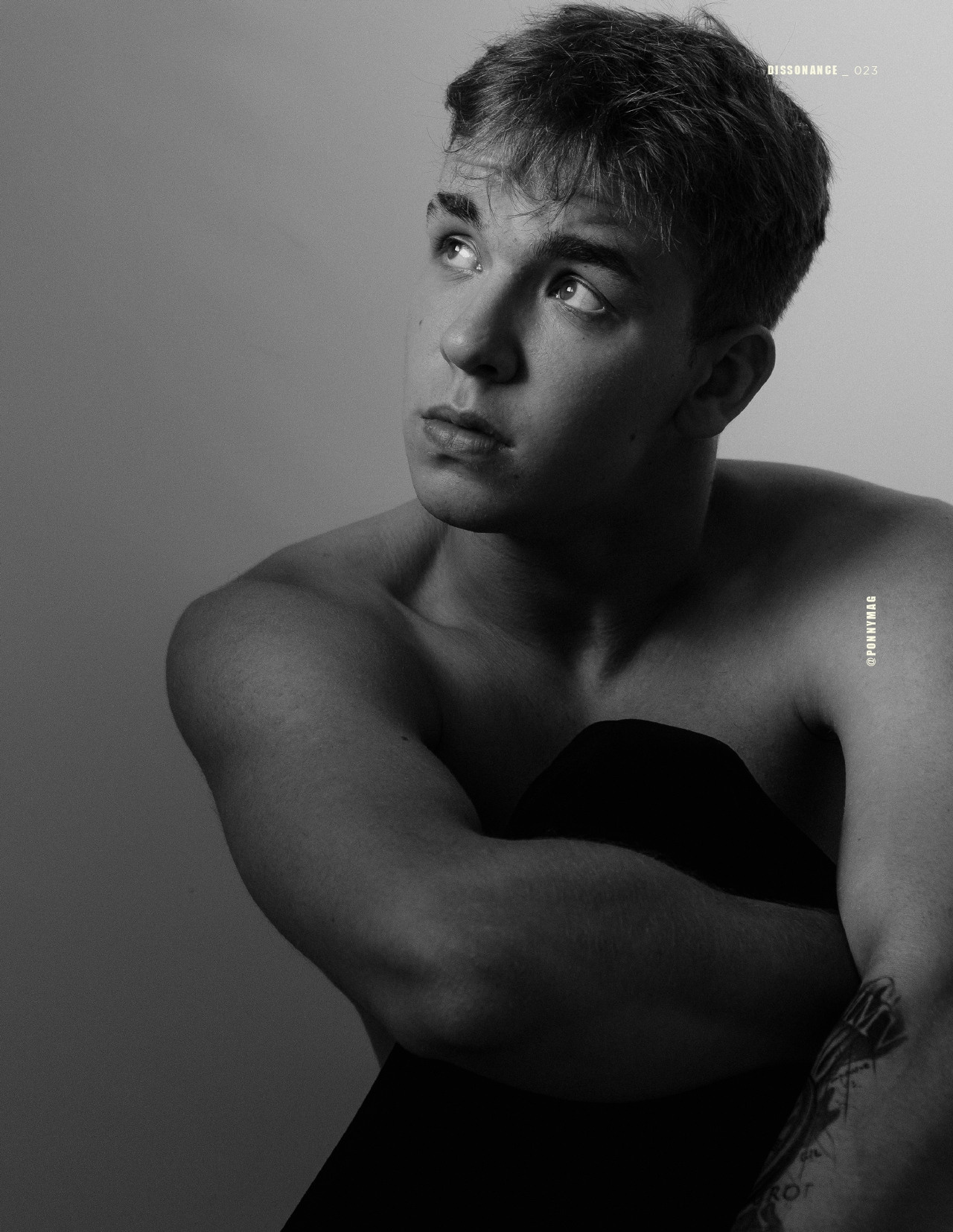 The best publications with Dmitrii Shlein