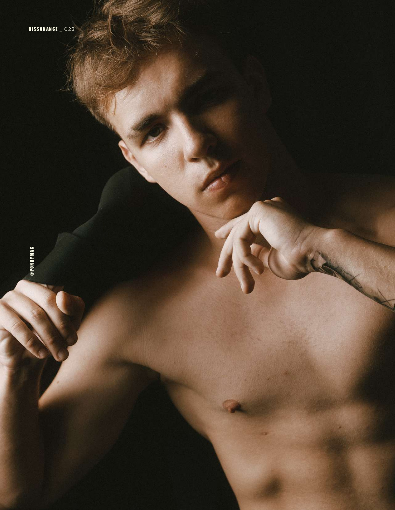 The best publications with Dmitrii Shlein