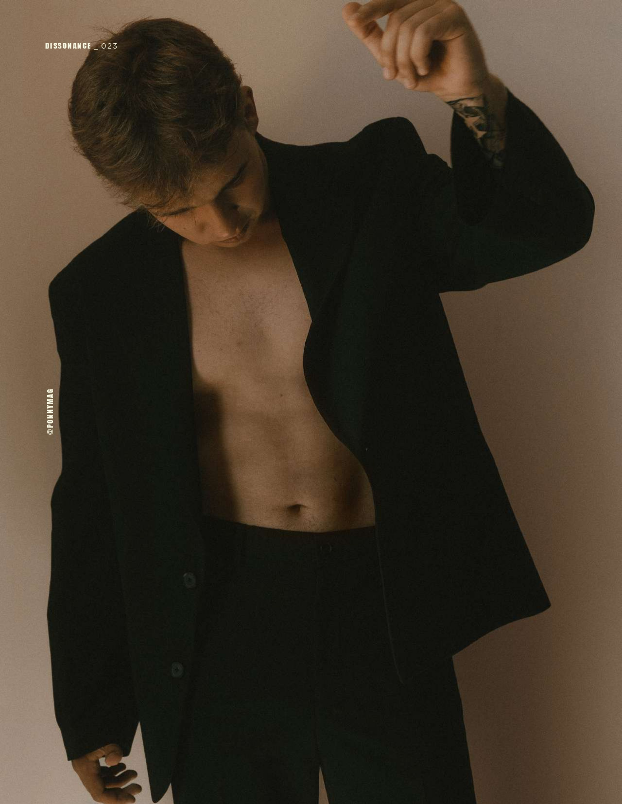 The best publications with Dmitrii Shlein