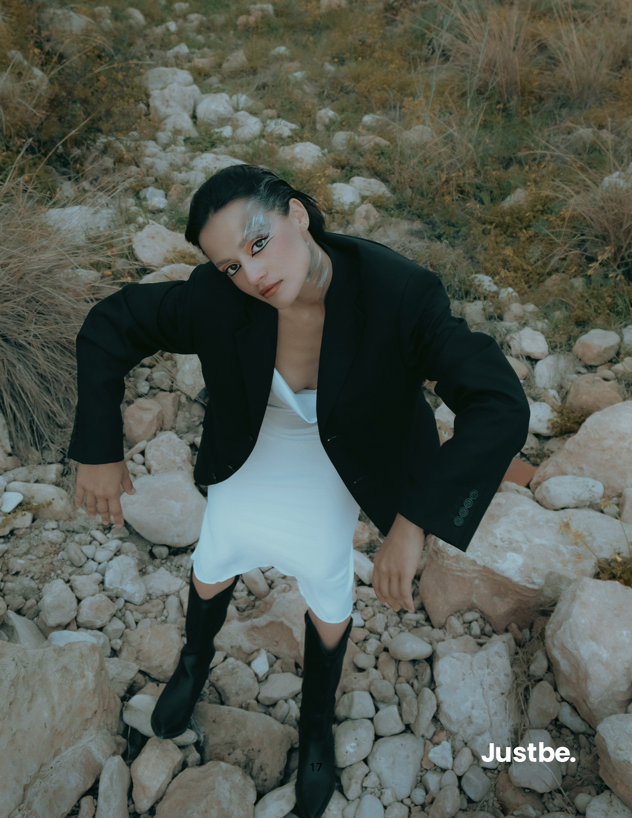 The best publications of the project Dusk in Silence