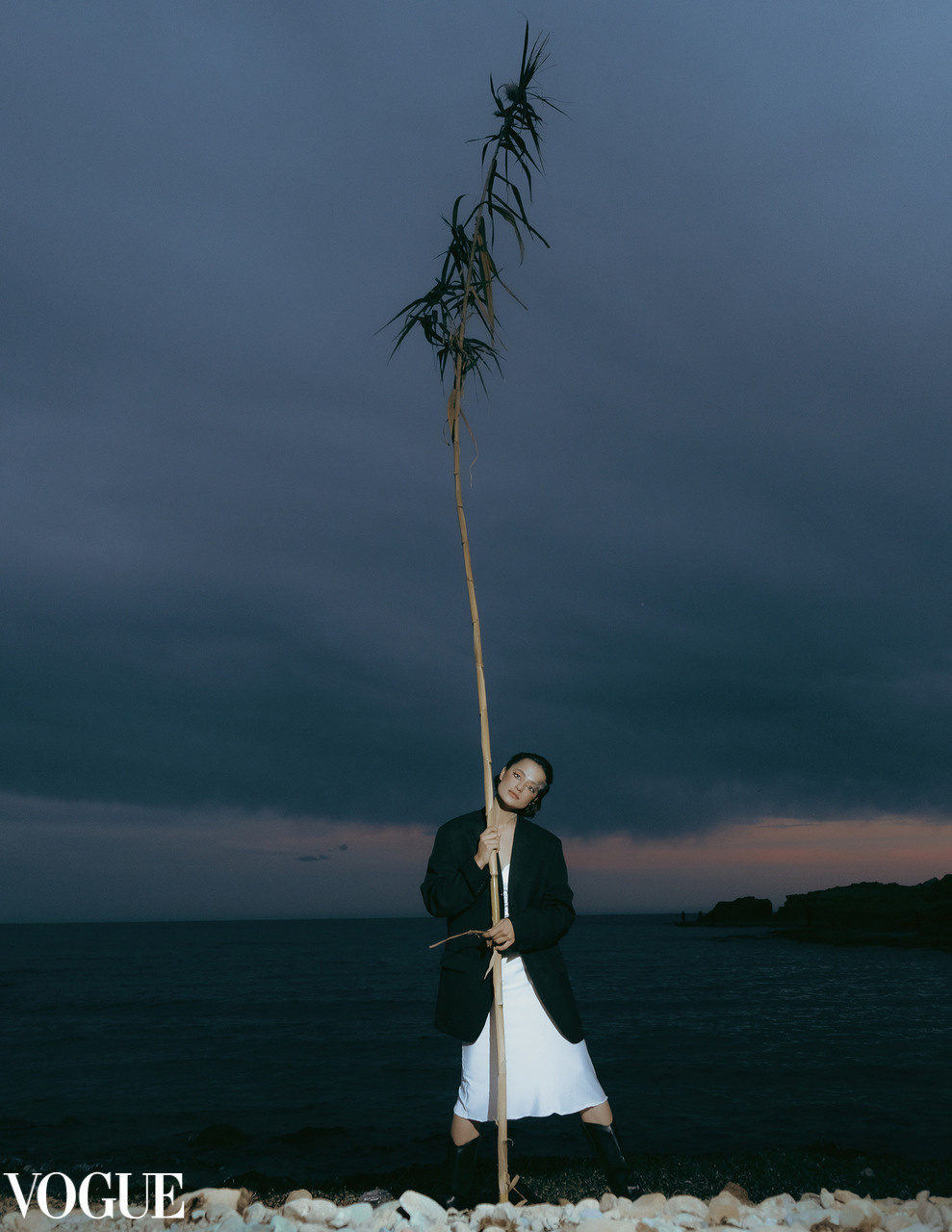 The best publications of the project Dusk in Silence