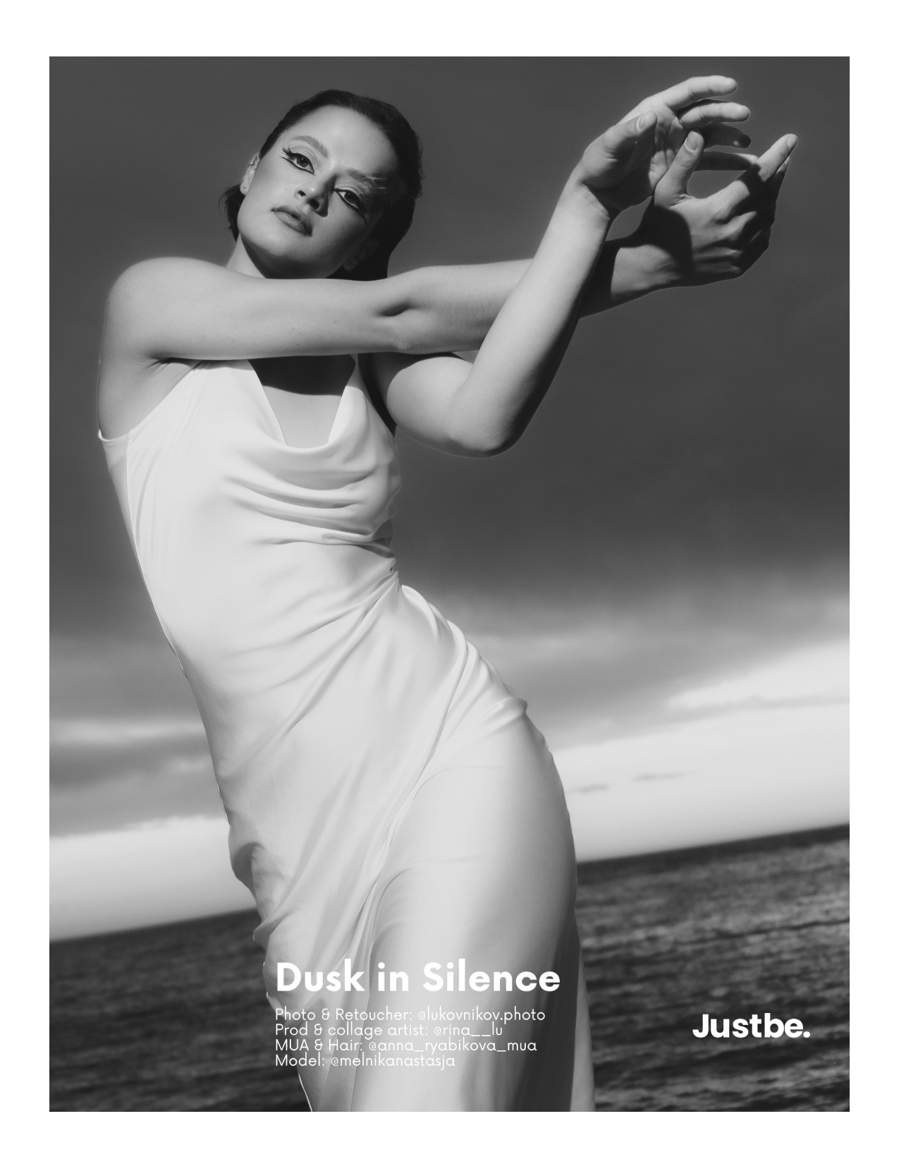 The best publications of the project Dusk in Silence