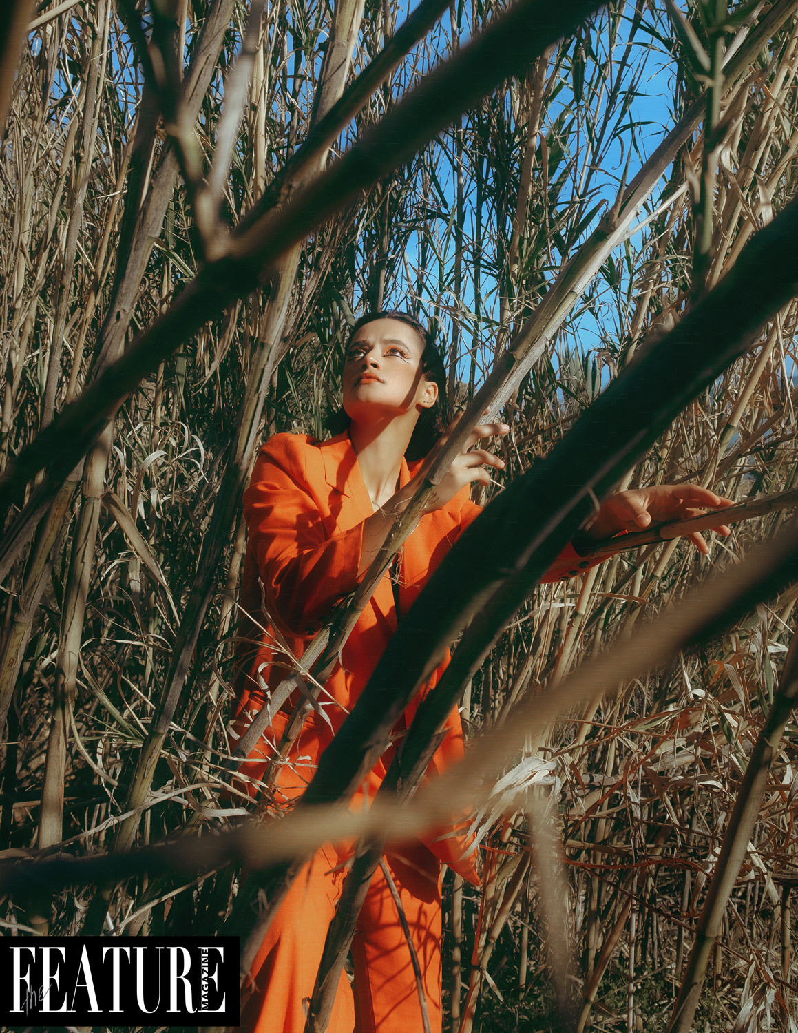 The best publications of the project Orange Orange