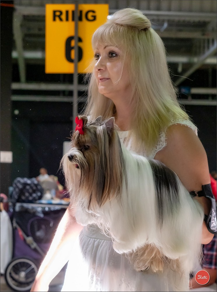 🇱🇺 LUXEMBOURG 🇱🇺 International Dog Show 🇱🇺 31/08 - 01/09/2024. Photographe à Strasbourg | Portraits, Studio, Enfants, Événements