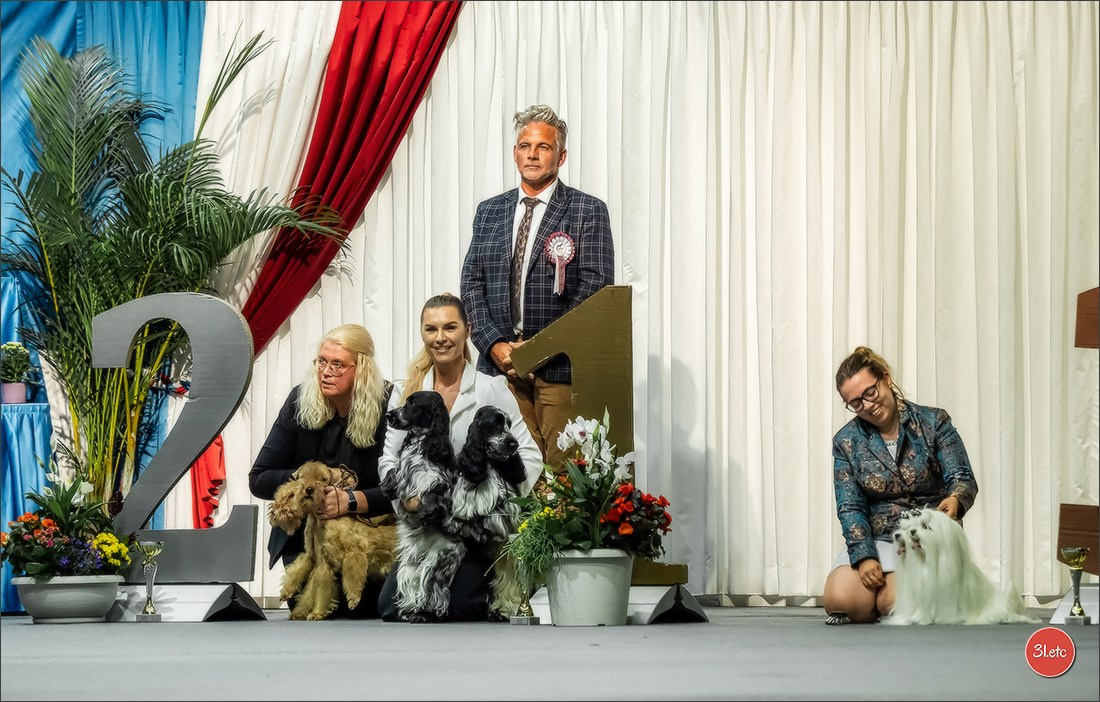 🇱🇺 LUXEMBOURG 🇱🇺 International Dog Show 🇱🇺 31/08 - 01/09/2024. Photographe à Strasbourg | Portraits, Studio, Enfants, Événements