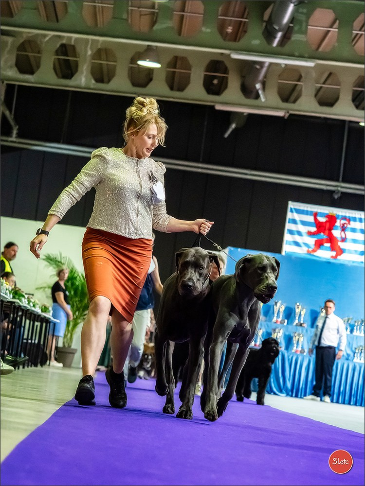 🇱🇺 LUXEMBOURG 🇱🇺 International Dog Show 🇱🇺 31/08 - 01/09/2024. Photographe à Strasbourg | Portraits, Studio, Enfants, Événements