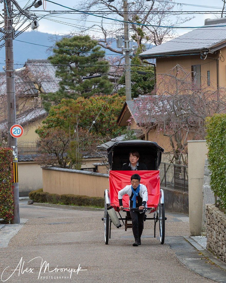 Autumn Colors of Japan. Pet, Senior, Landscape, portrait studio, photographer in Miami and Sou