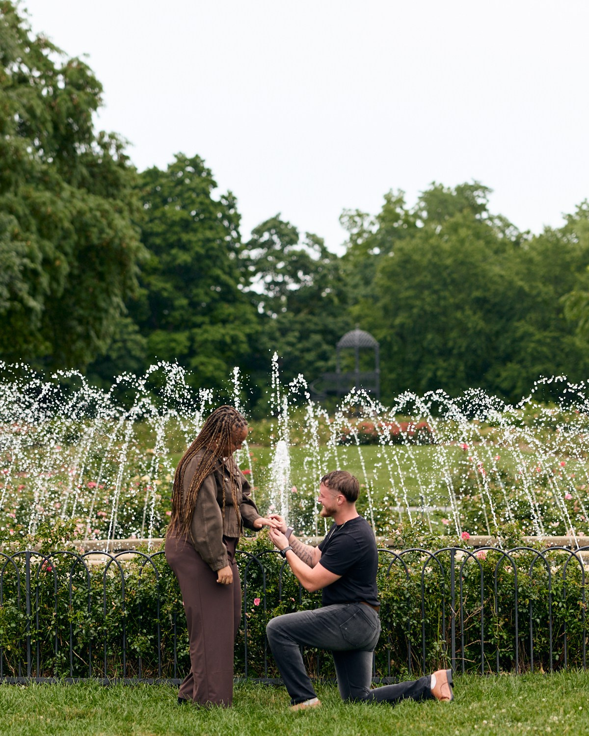 Wide proposal scene in the rose beds with a fountain at the Columbus Park of Roses