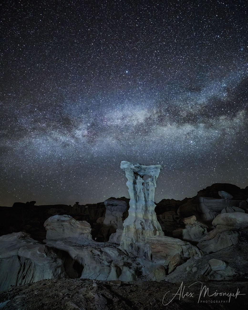 Eagle’s View American Southwest. Pet, Senior, Landscape, portrait studio, photographer in Miami and Sou