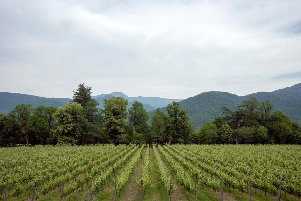 Lopota Lake Resort & Spa. Главная