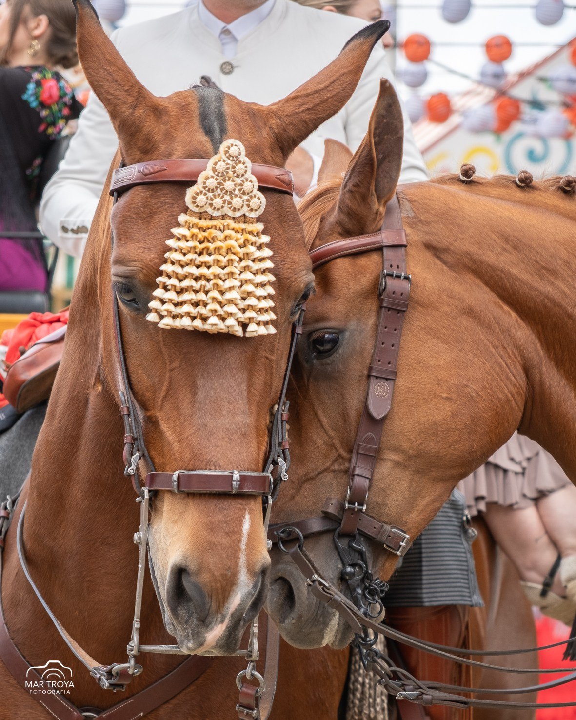 Feria de Sevilla 2025. Fotos con huella, fotografía de perros y mascotas en Sevilla