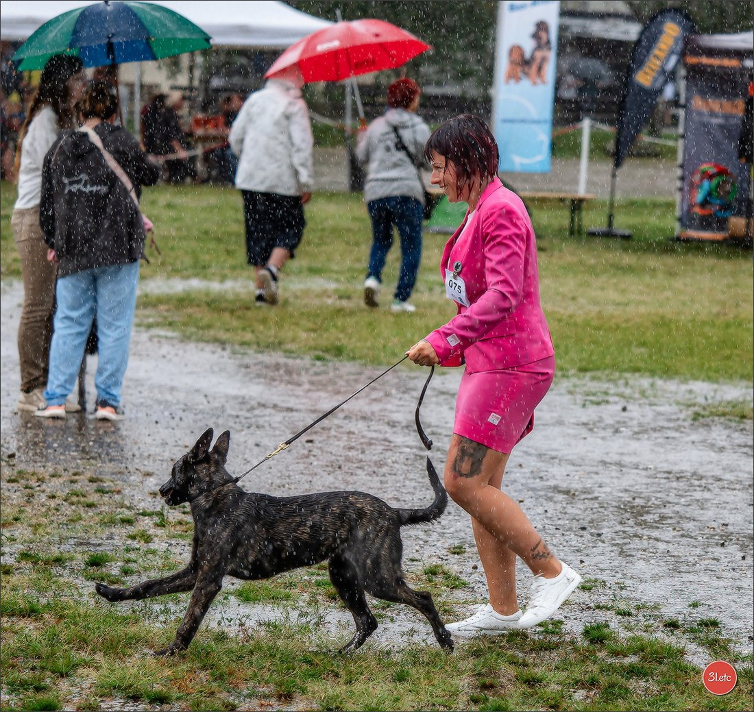 Exposition Canine à STRASBOURG-HOERDT Dimanche 18 août 2024. Photographe à Strasbourg | Portraits, Studio, Enfants, Événements