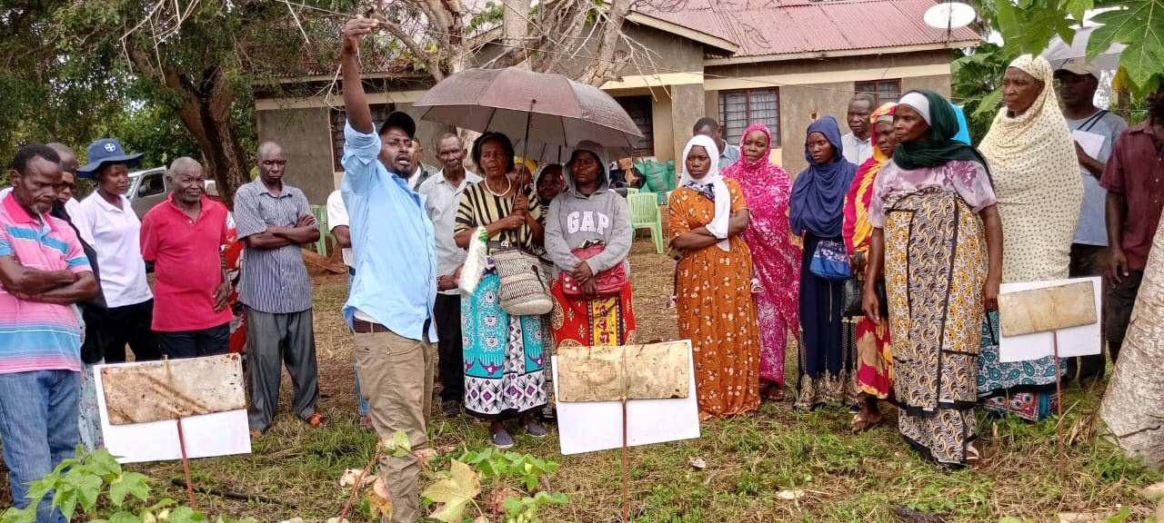 Grow Peat Organic Farming Training Crops and Sustainable Agriculture. Boost Plant Growth with Organic Fertilizers: Our Effective Solution