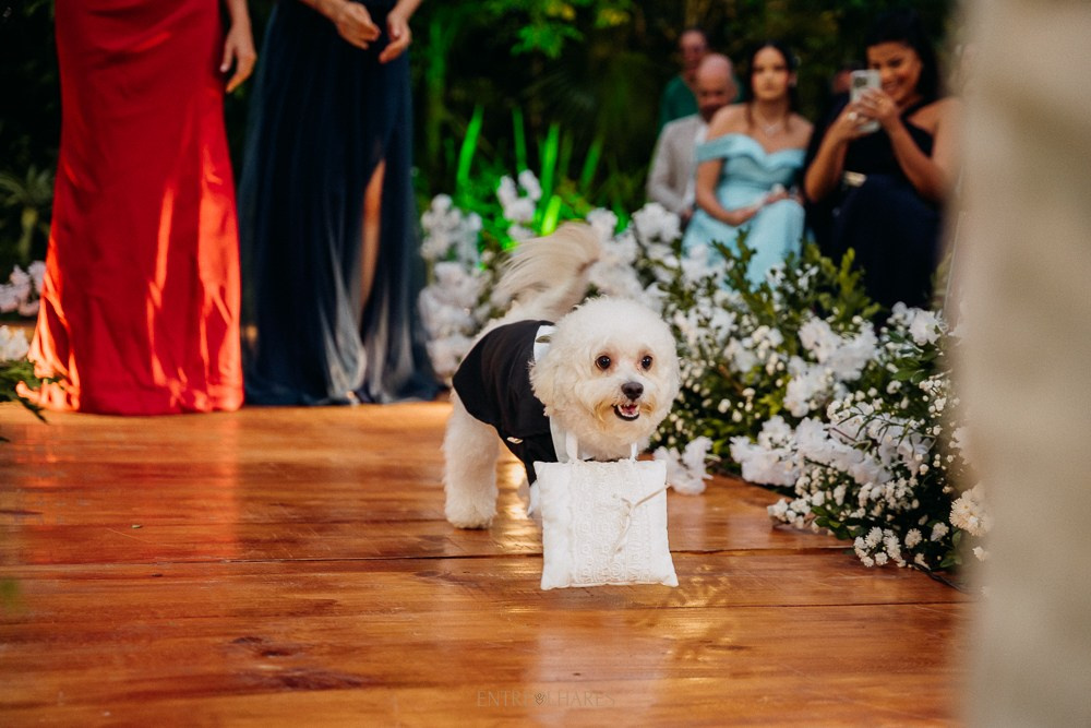 AMANDA & LEANDRO. EntreOlhares Fotografia e Filmagem de Casamentos em Recife/PE e João Pessoa/PB — Momentos únicos eternizados com sensibilidade
