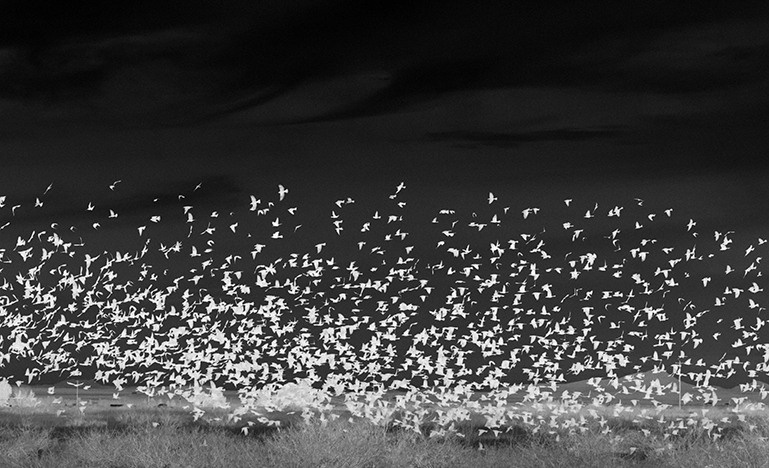 Project In The Rear View Mirror. Helen McLain Photography