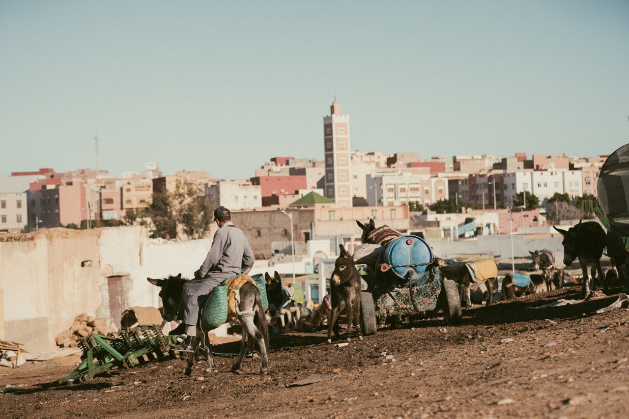 Travel and lifestyle fotografka. Dana Lišková — Empatická fotografka | Introspektivní umělkyně | Neurodivergentní koučka| Zakladatelka Artepy.cz