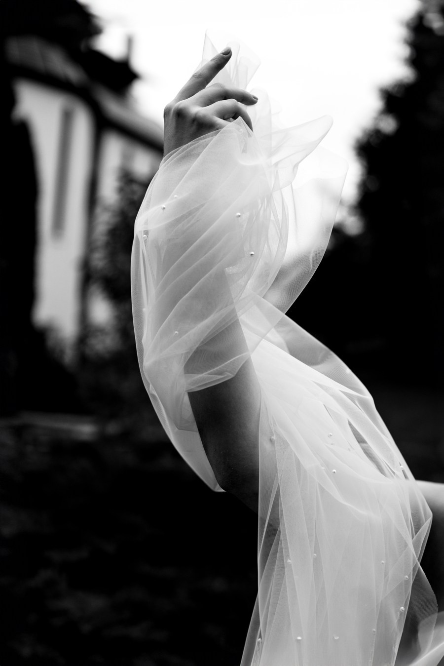 Premii. Mihai Padurariu - fotograf