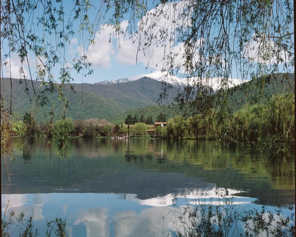 Lopota Lake Resort & Spa. Главная