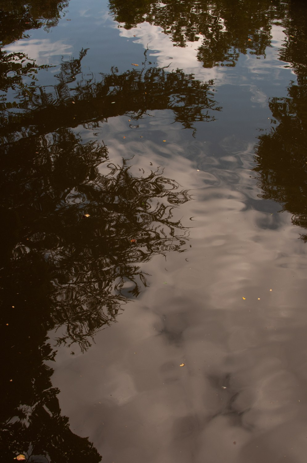 Forgiving. Mayya Kelova artist