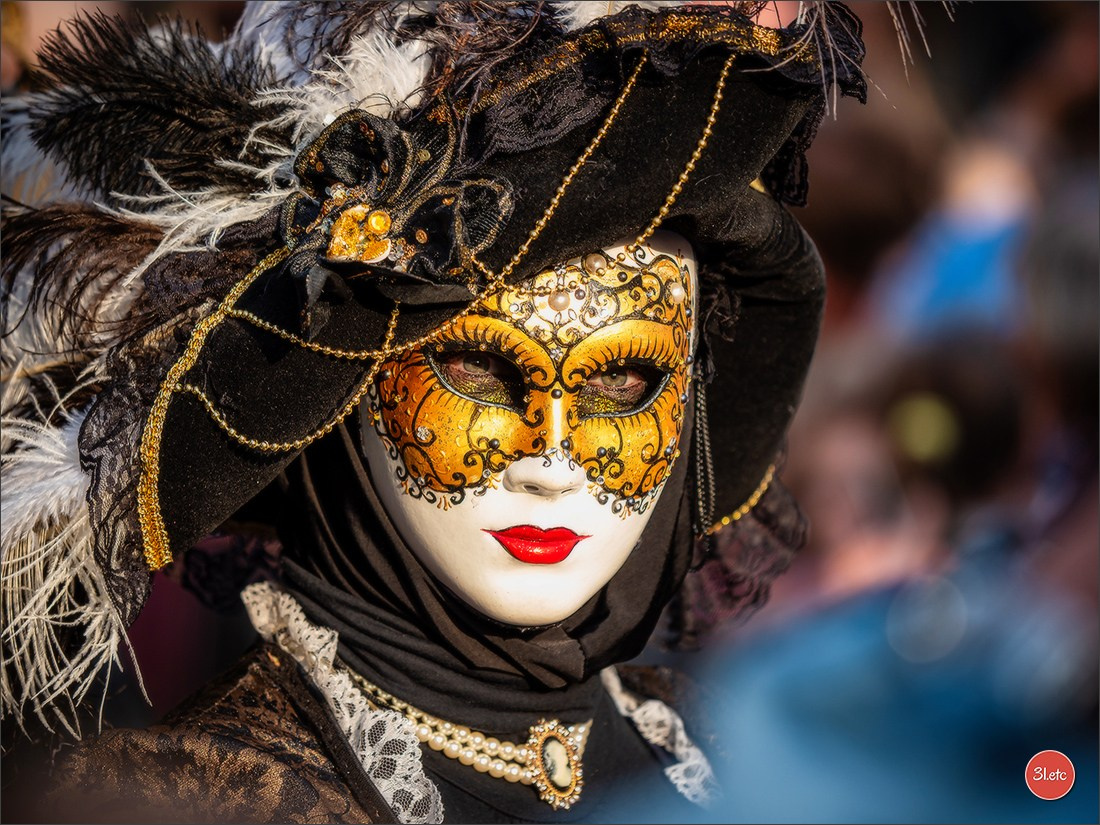 Concerts . Carnavals . Festivals. Photographe à Strasbourg | Portraits, Studio, Enfants, Événements