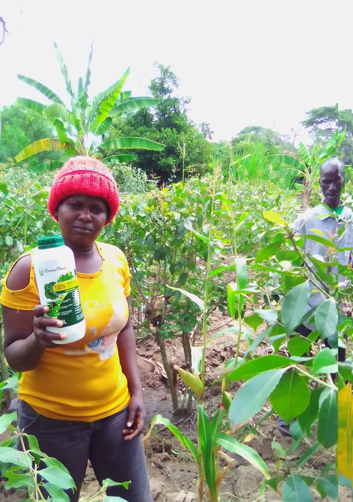 Grow Peat Organic Farming Training Crops and Sustainable Agriculture. Boost Plant Growth with Organic Fertilizers: Our Effective Solution
