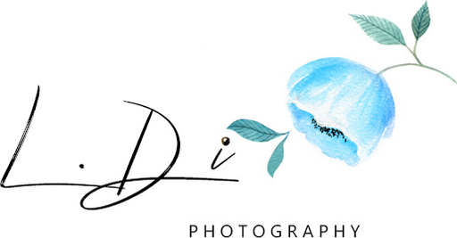 dianadi.art