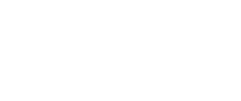 annaluchina.wfolio.pro