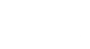 gardinovacki.wfolio.pro