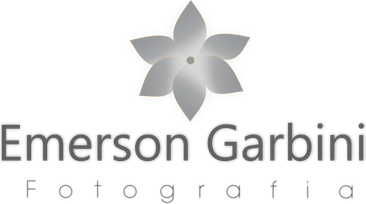 emersongarbini.com.br
