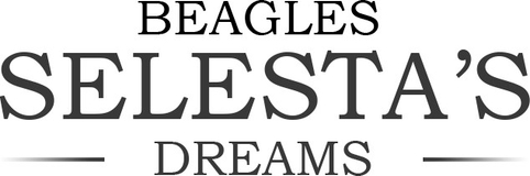 beagles.com.ua