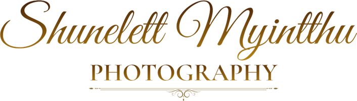 shunelettmyintthu.com