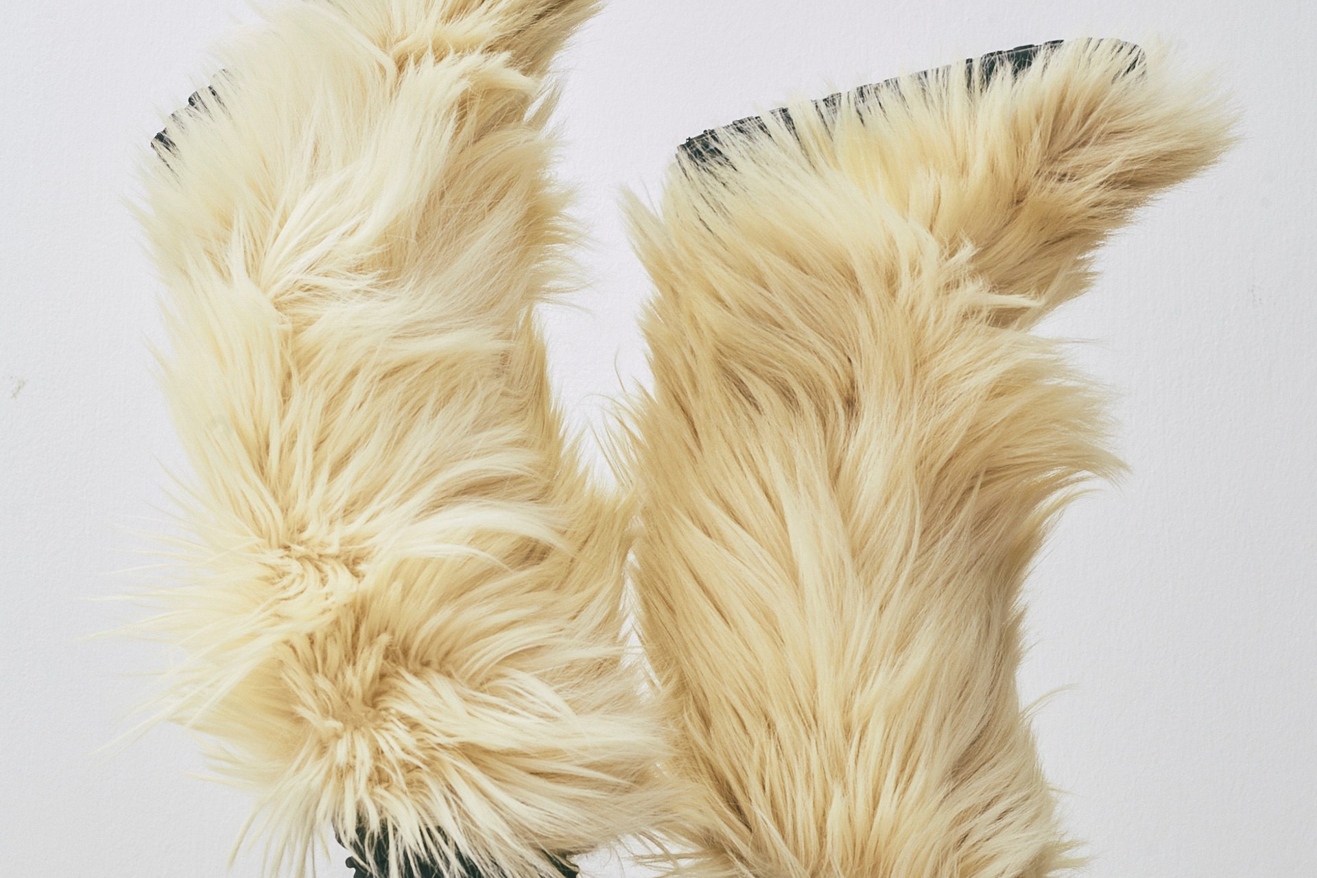 Accessori / Scarpe / Borse