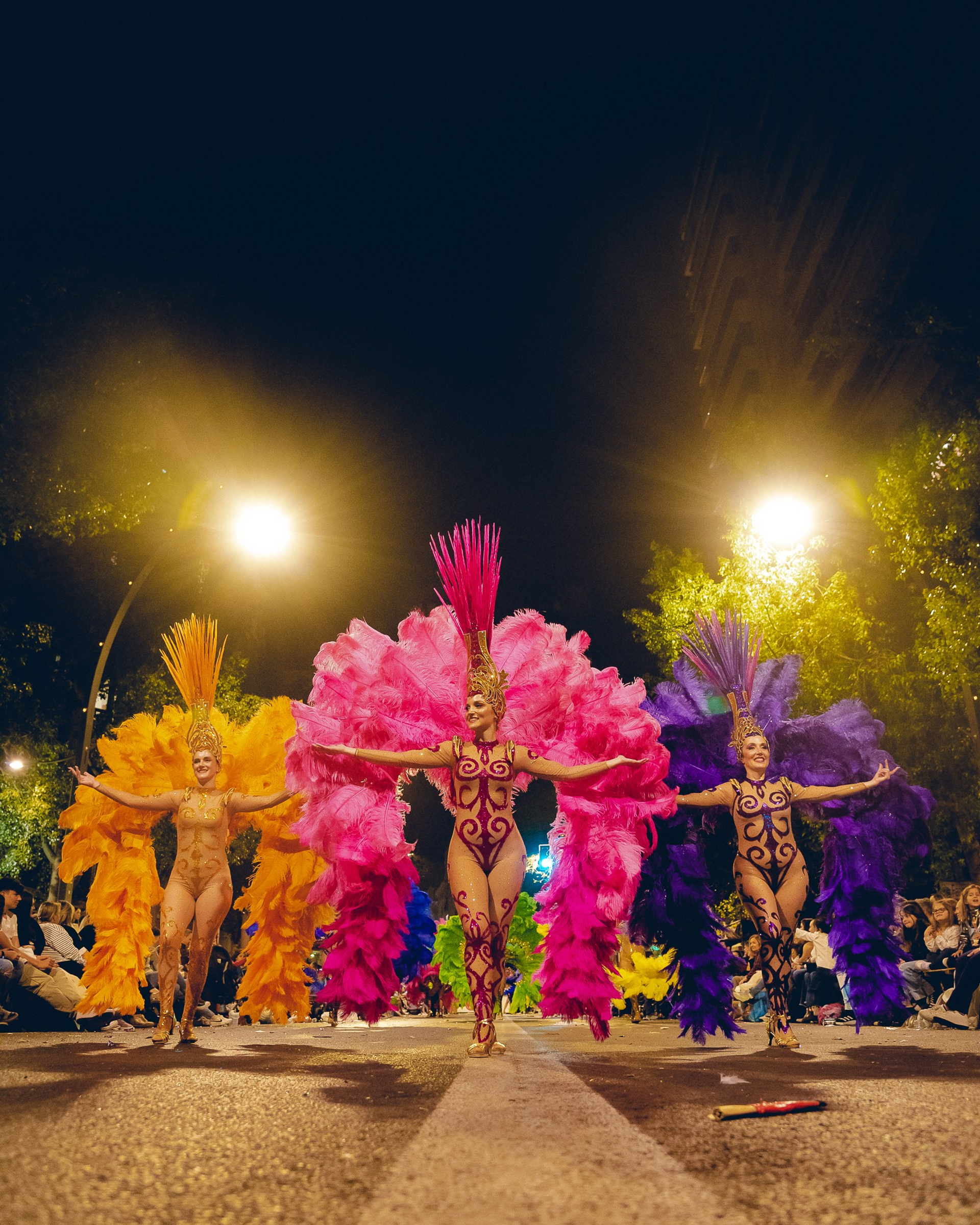 Entierro de la Sardina | Carnival of Murcia