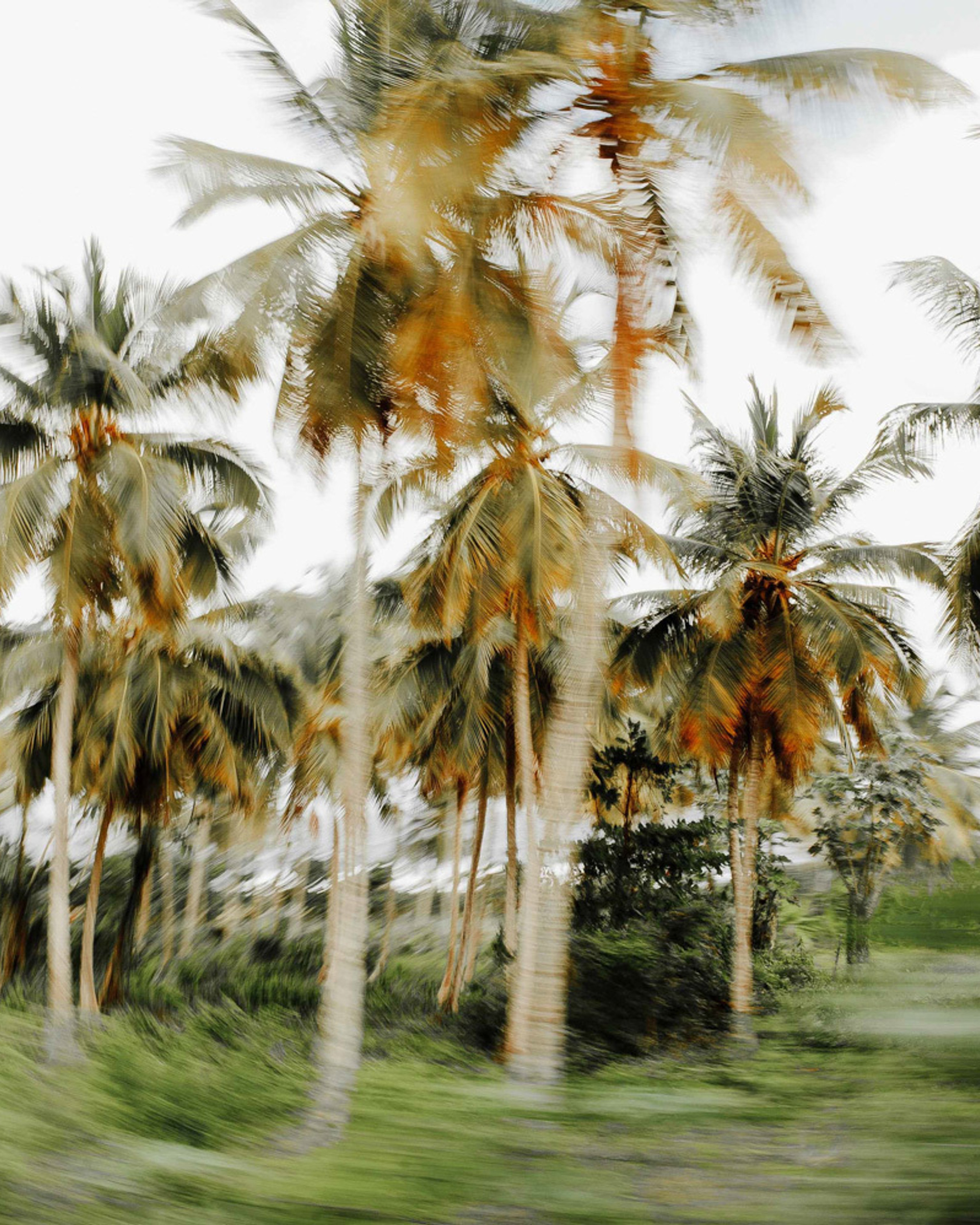 Wedding in Samana, Dominican Republic