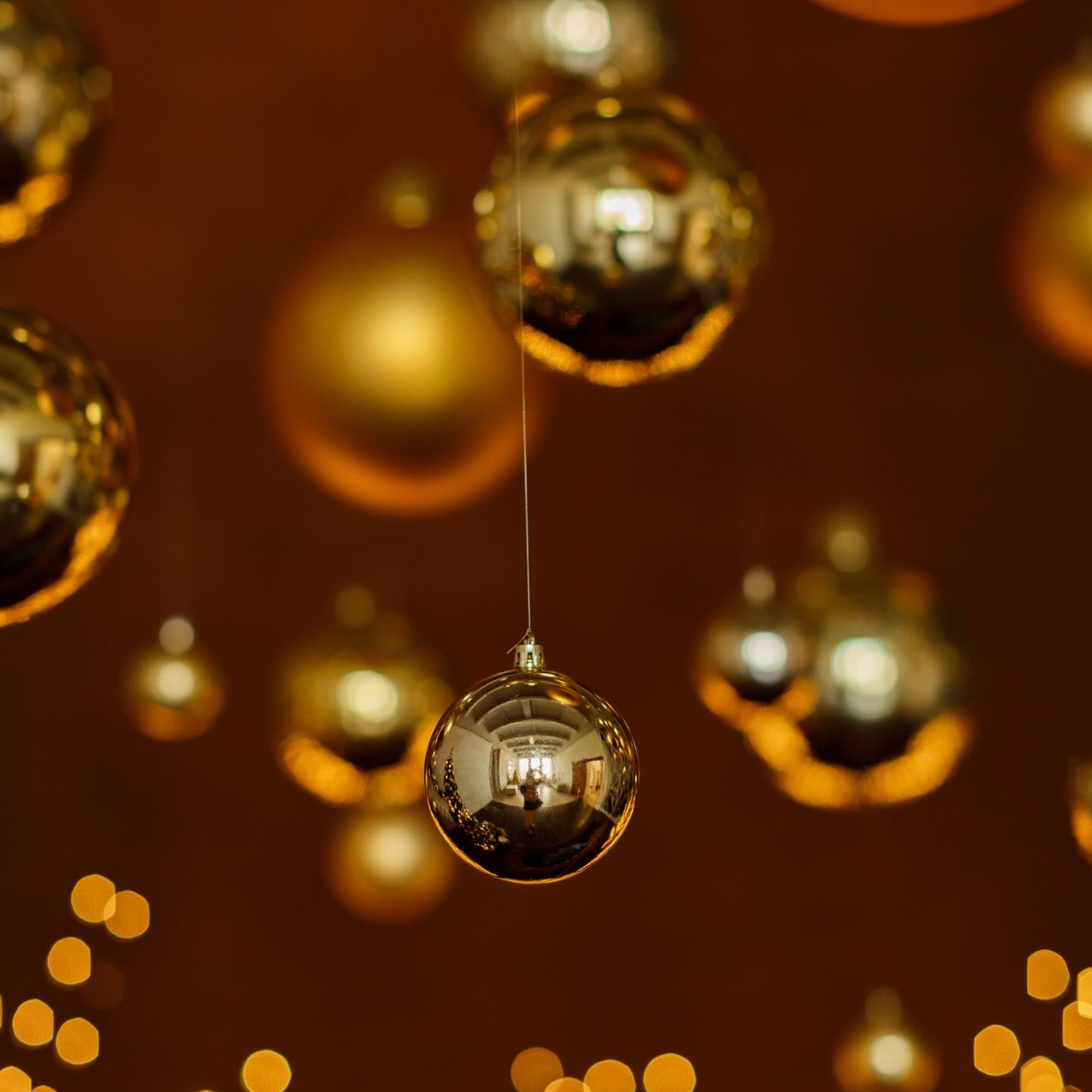 Рекомендовані студії. Весільний фотограф Львів Оля Грабовенська