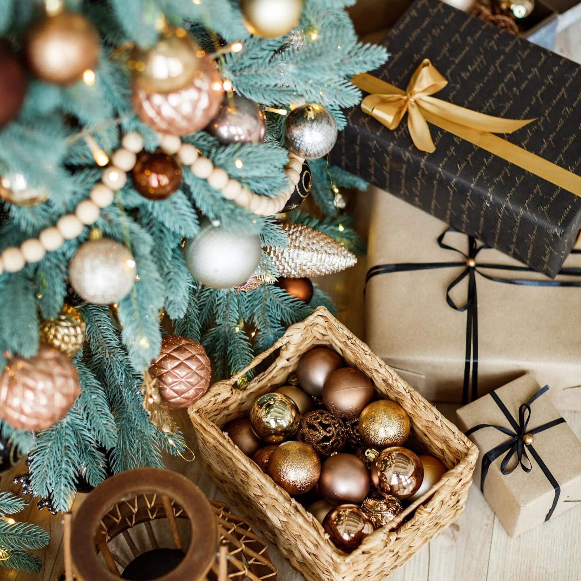 Рекомендовані студії. Весільний фотограф Львів Оля Грабовенська