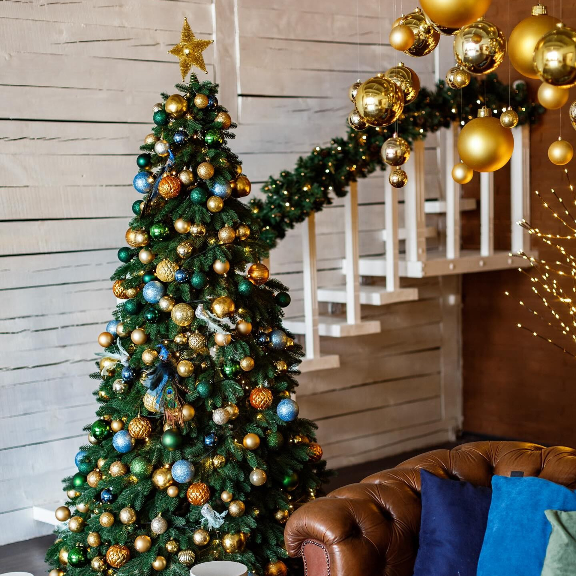 Рекомендовані студії. Весільний фотограф Львів Оля Грабовенська