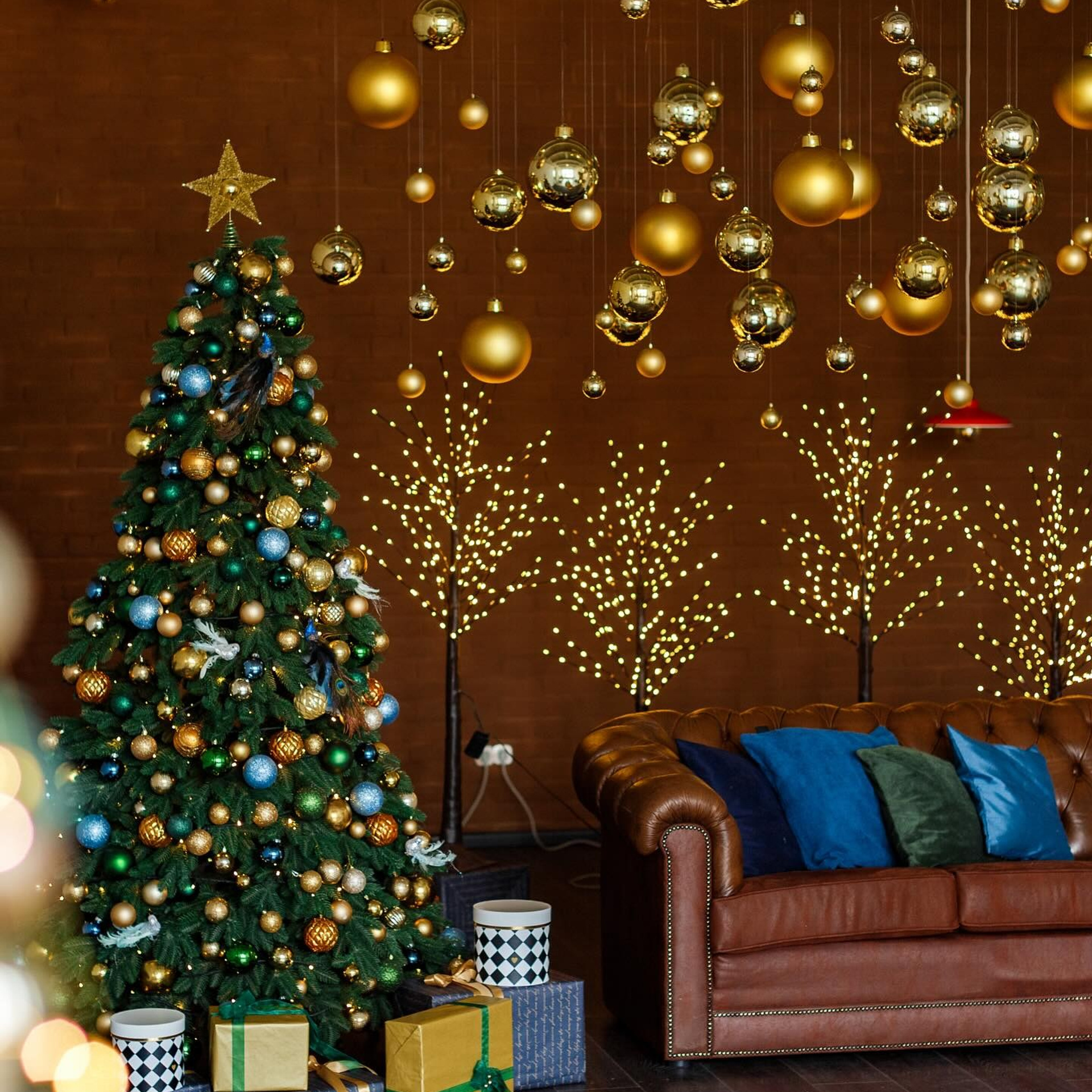 Рекомендовані студії. Весільний фотограф Львів Оля Грабовенська