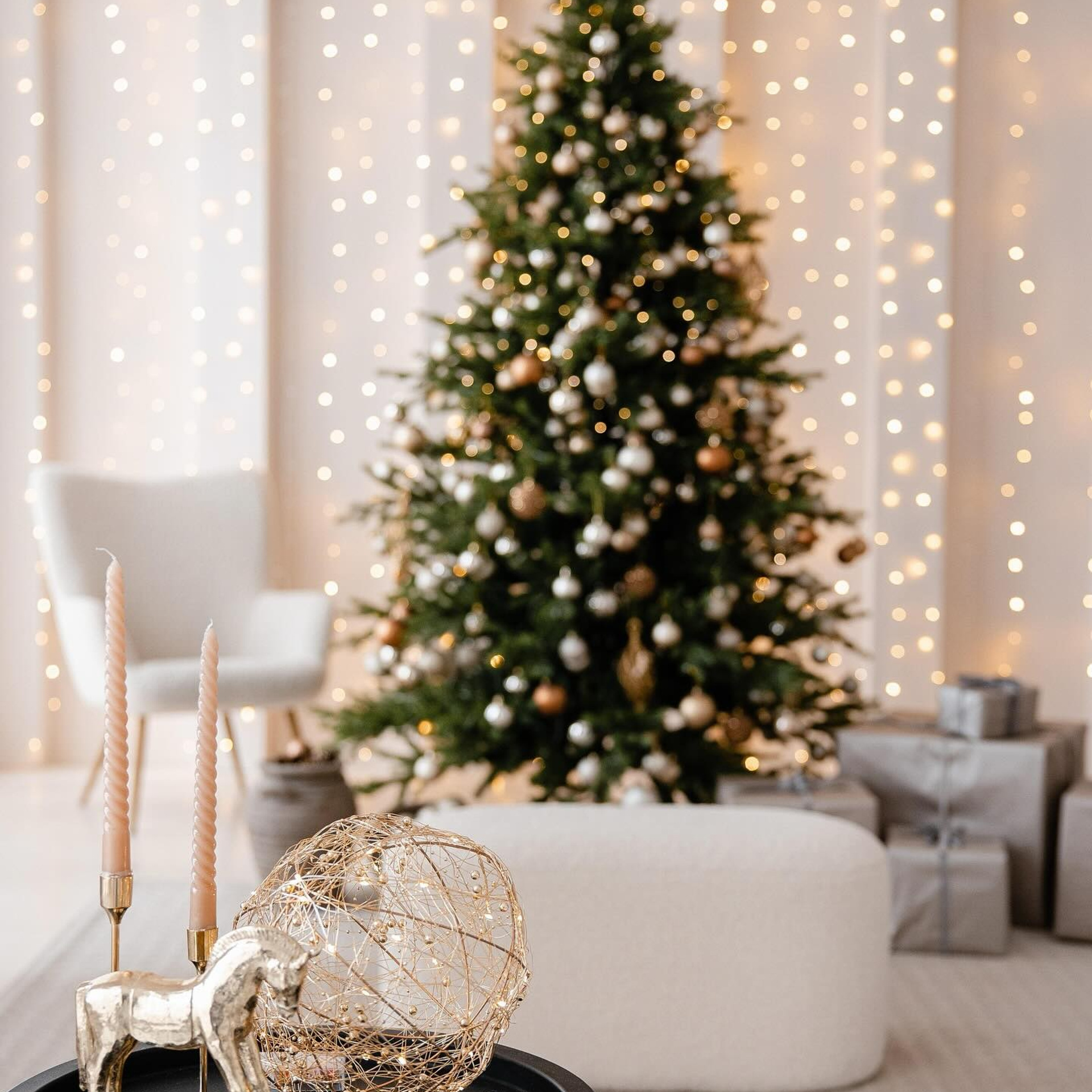 Рекомендовані студії. Весільний фотограф Львів Оля Грабовенська