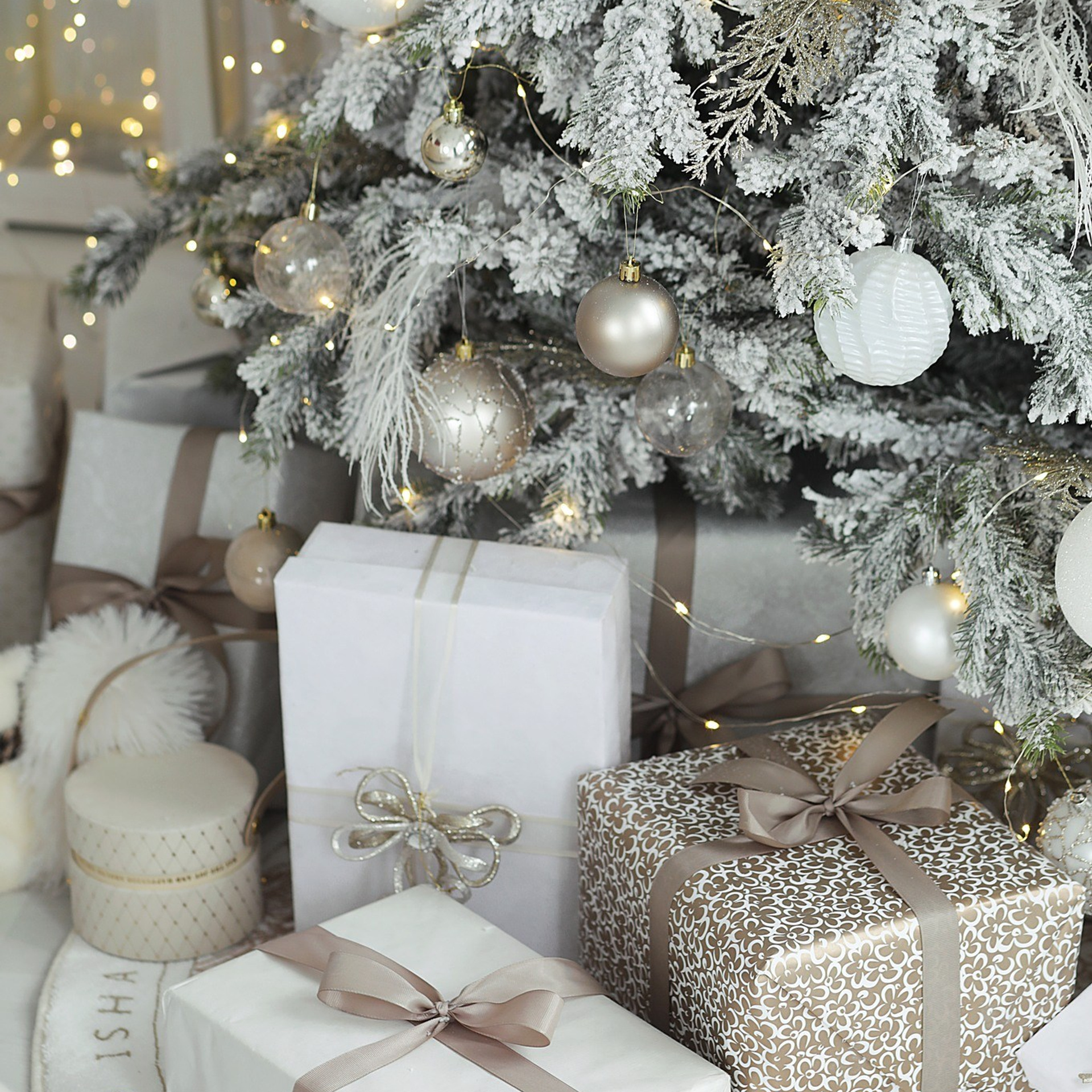 Рекомендовані студії. Весільний фотограф Львів Оля Грабовенська